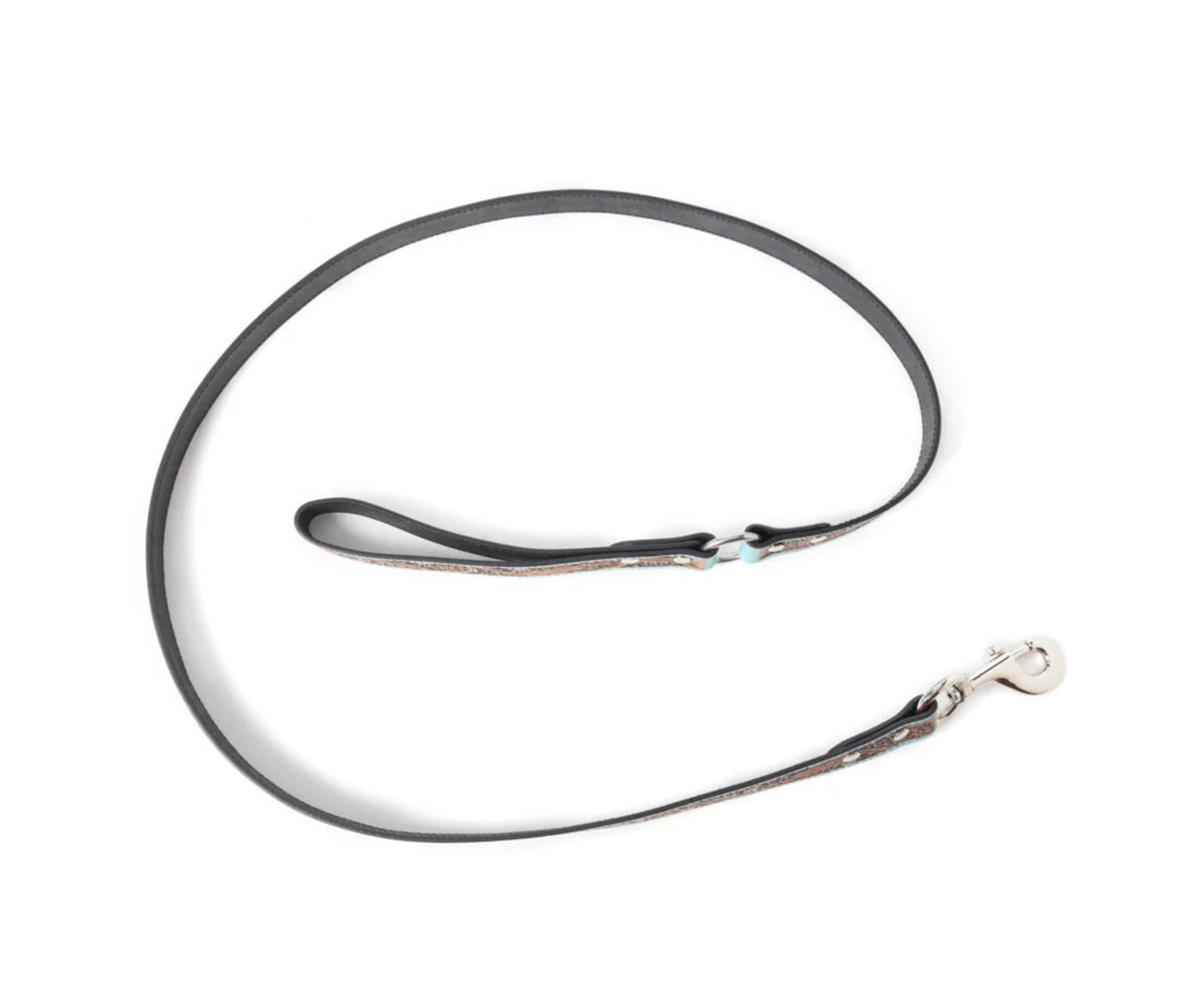 Luna Beam Dog Leash In Turquoise