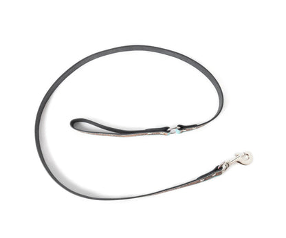 Luna Beam Dog Leash In Turquoise